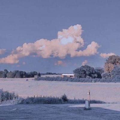 “张雪峰心脏骤停被送医抢救”传闻持续发酵，多平台直播间相继中断，多方回应